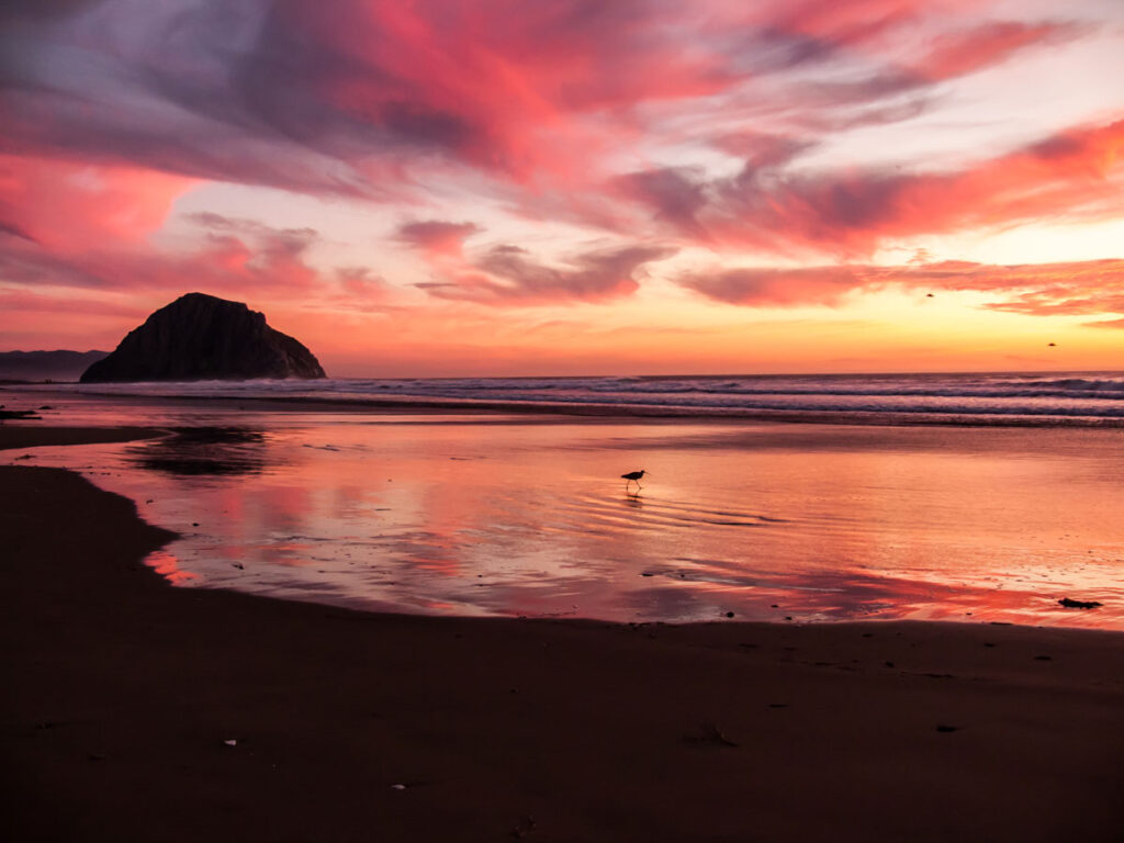 3648x2736 uncropped TheAppBuilder-icon-morro-strand-sunset-21nov2008-49.RAW20 Aug 2013, the original 1024 x 1024 icon version has been replaced with a larger 3648x2736 original here due to a Getty request to represent the image. The original 1024x1024 icon displayed here is now a hidden file www.flickr.com/photos/mikebaird/9555966139/  This is a proposed splash screen and icon for an iPhone and Android App I'm building using JamPot's The AppBuilder Morro Rock at sunset on Morro Strand State Beach, Morro Bay, CA To use this photo, see access, attribution, and commenting recommendations at www.flickr.com/people/mikebaird/#credit - Please add comments/notes/tags to add to or correct information, identification, etc.  Please, no comments or invites with badges, unrelated images, flashing icons, links to your photos, multiple invites, or invites with award levels and/or award/post rules.   Critique is always welcomed. PhotoMorroBay.com Social Network - An App to appear soon in the Apple and Android App stores. PhotoMorroBay.com Social Network.  Author: Mike Baird  Created: 9/29/2011 8:10:55 PM  Status: Awaiting store submission  Support url:  photomorrobay.com email:  app{at] mikebaird d o t com phone: 805-704-2064 Description:  PhotoMorroBay.com Social Network, including Yahoo! Group discussions, Flickr photo sharing, Digital Photo Walk Meet-ups, Bay Birding Photo Cruises, and Morro Bay Bird Festival photo events. Keywords:  photomorrobay,DPW,digital photo walk,bay birding,photo cruise,morro bay,bird festival,Mike Baird,Michael Baird,Dos Osos,Sub Sea Tours,photomorrobay.com, Details:  Morro Bay, CA Central Coast Area (San Luis Obispo County, California, USA) PhotoMorroBay.com Social Network, including Yahoo! Group discussions, Flickr photo sharing, Digital Photo Walk Meet-